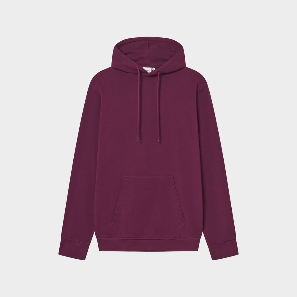 Hoodie Falun Base Fig Red