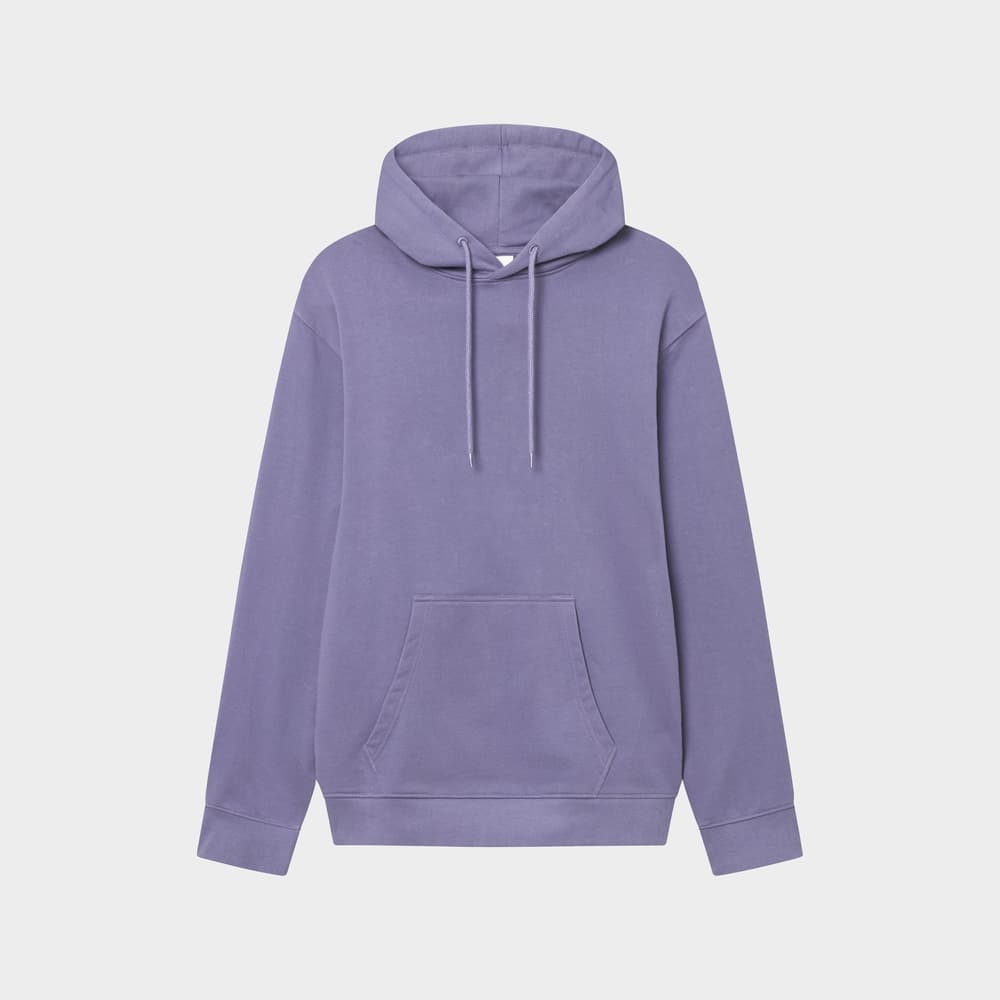 Hoodie Falun Base Heron Blue