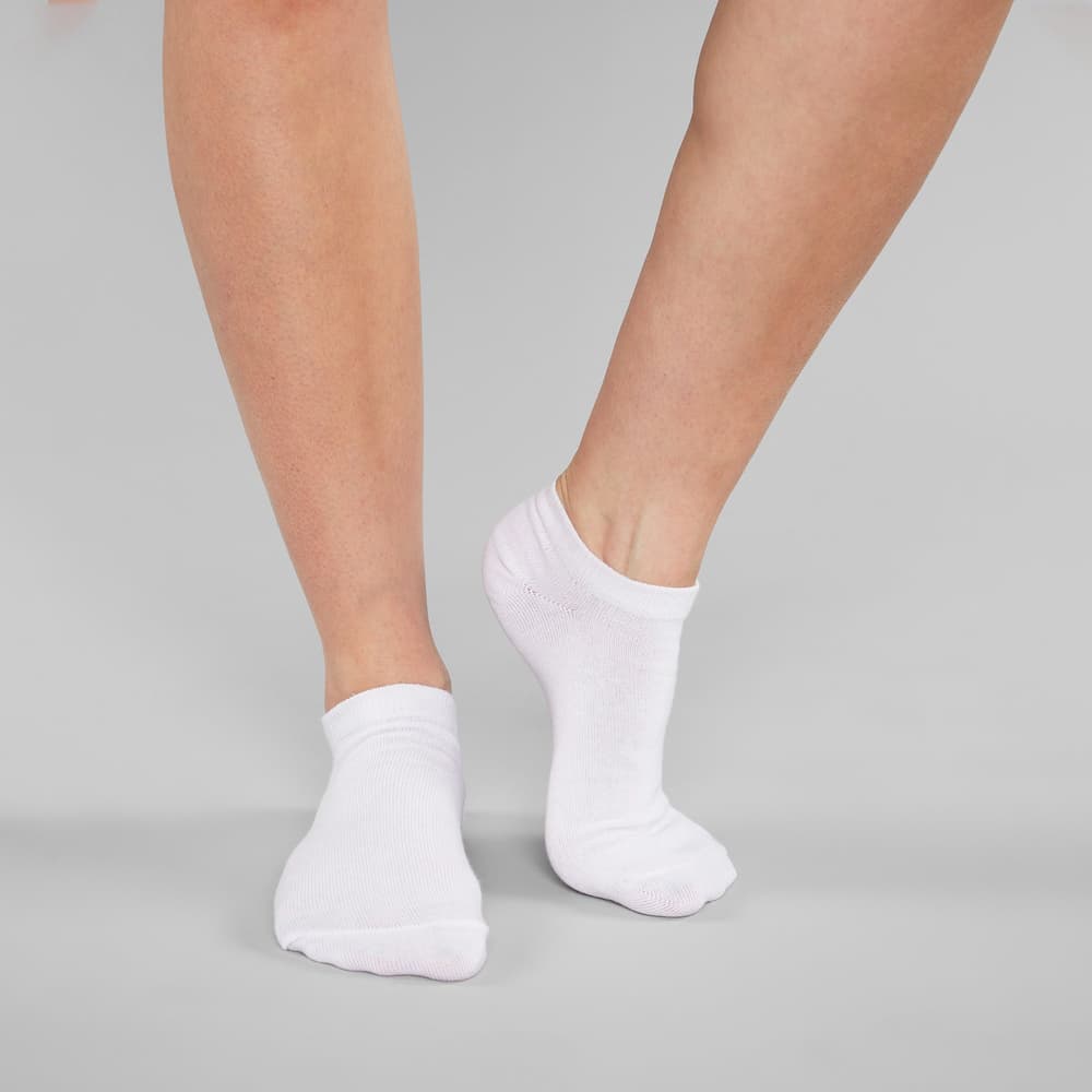 Low Socks Tibble White 6-pack