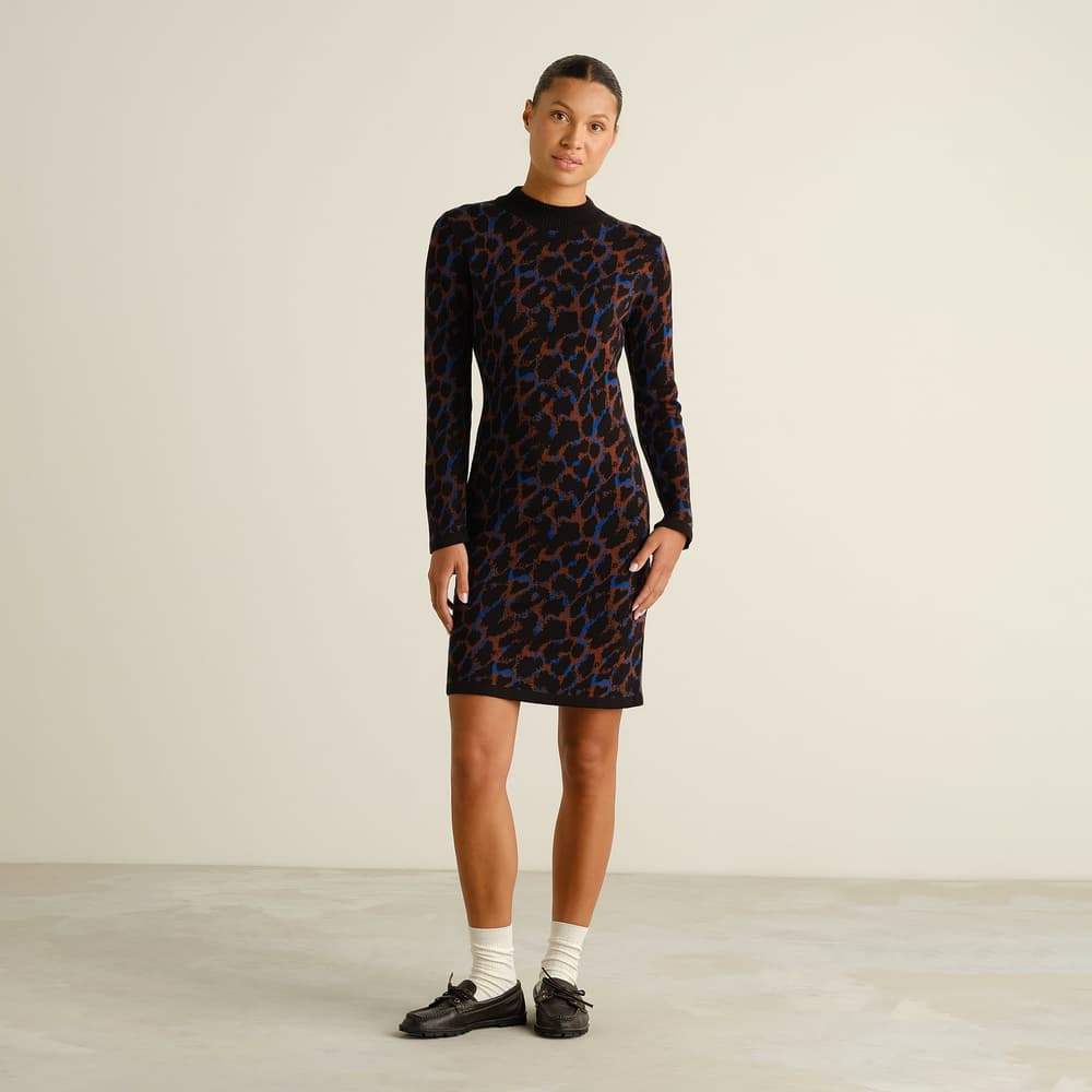 Dress Lo Leopard Multi Color