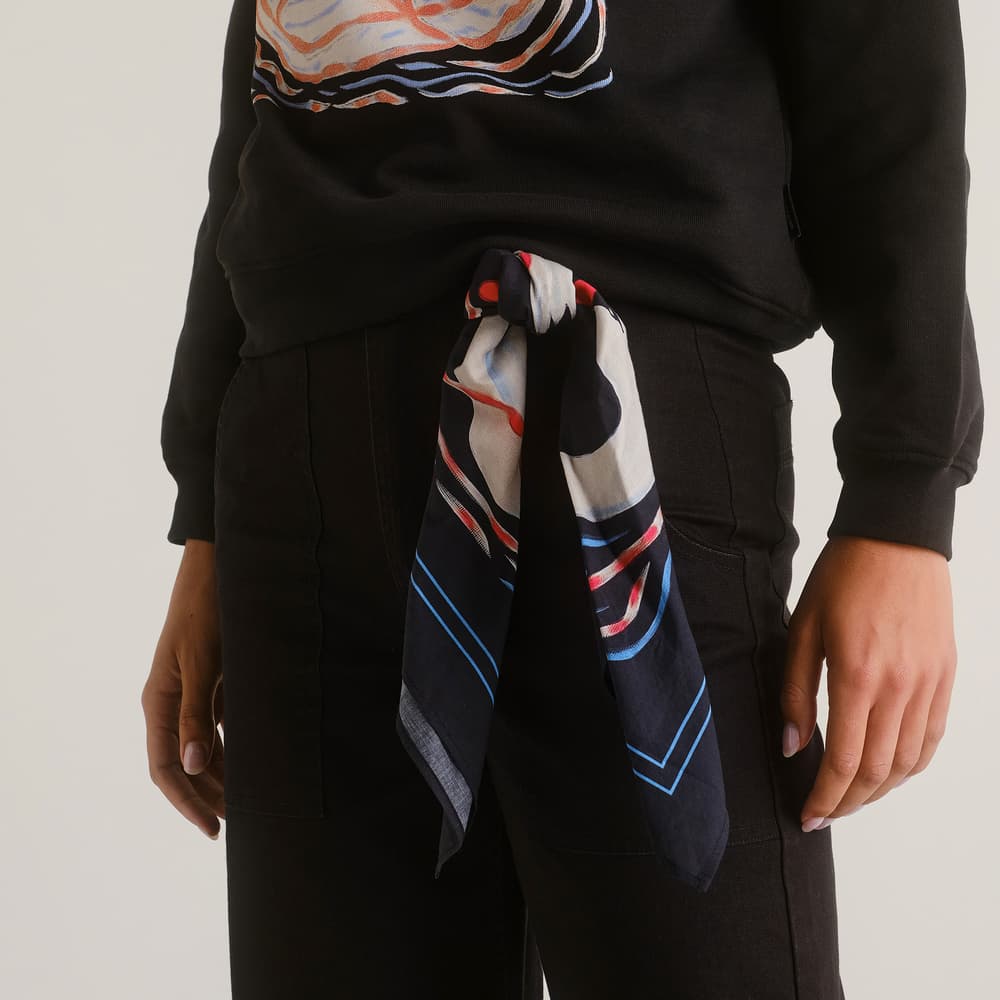 Scarf Kullavik Painted Swans Multi Color