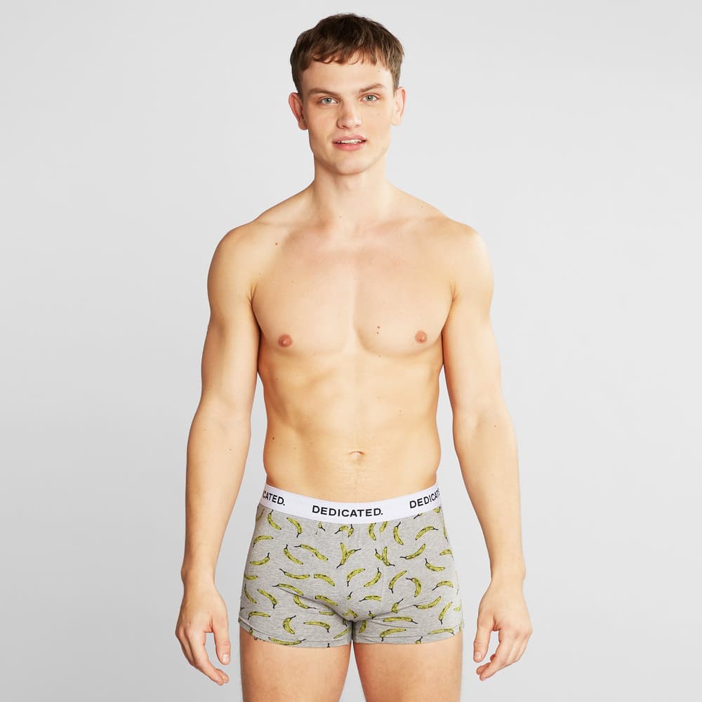 Boxer Briefs Kalix Bananas Grey Melange