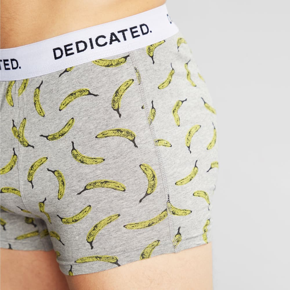 Boxer Briefs Kalix Bananas Grey Melange