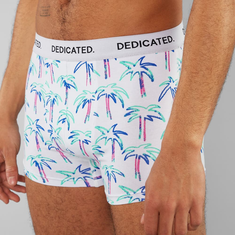 Boxer Briefs Kalix Crayon Palms White