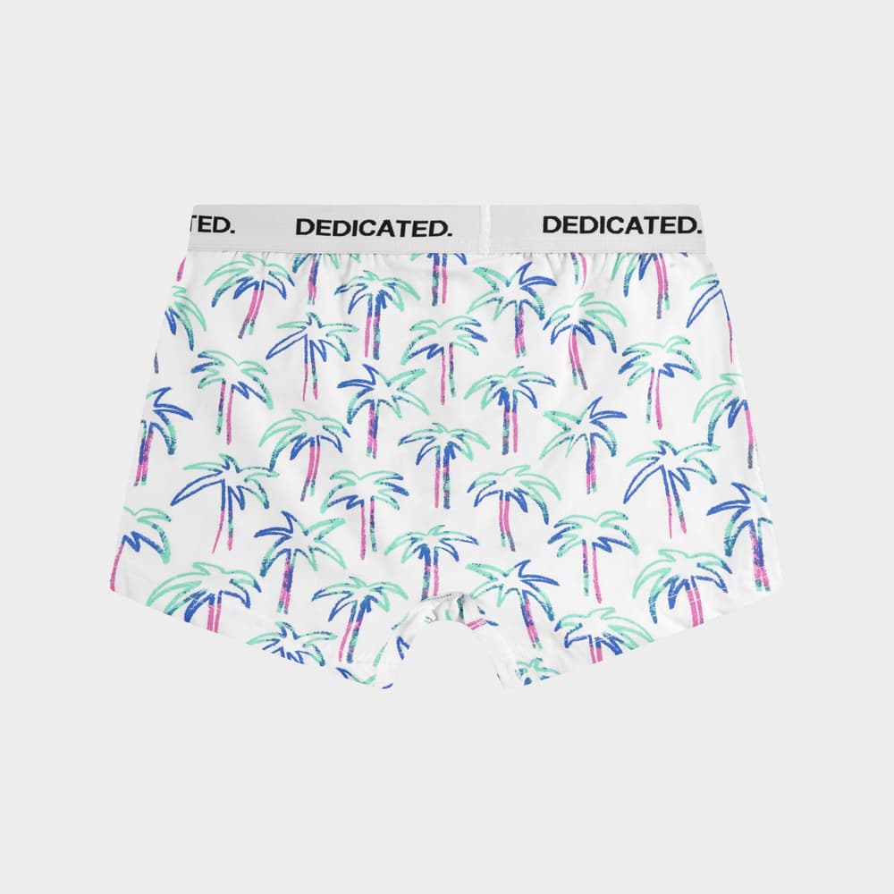 Boxer Briefs Kalix Crayon Palms White