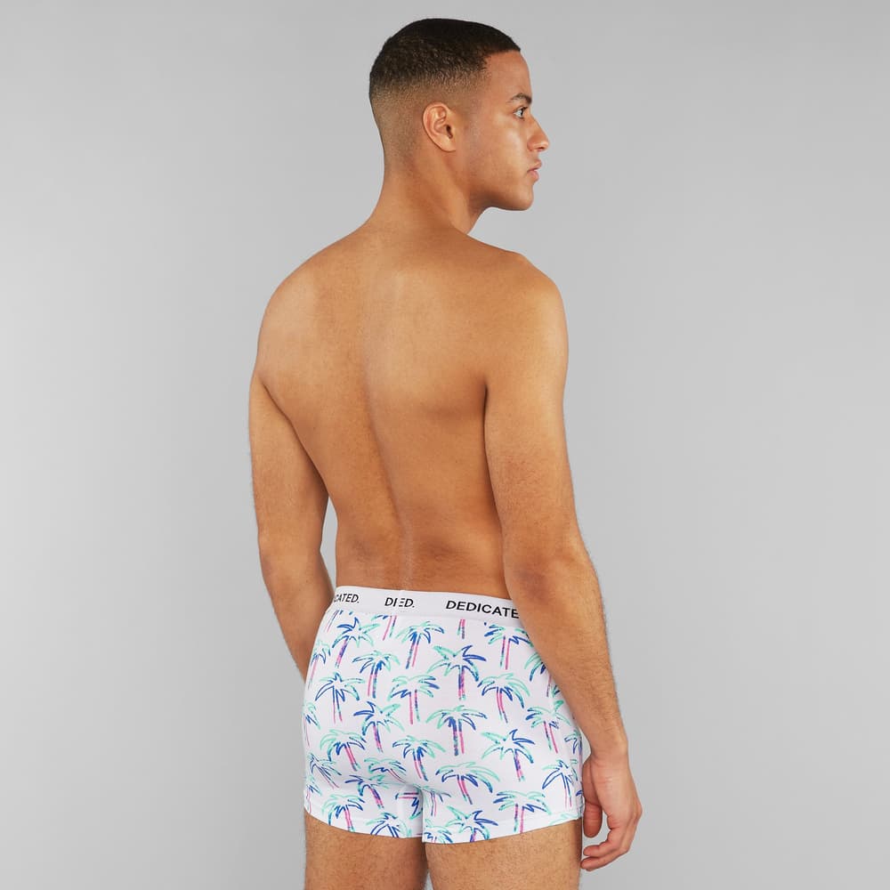 Boxer Briefs Kalix Crayon Palms White
