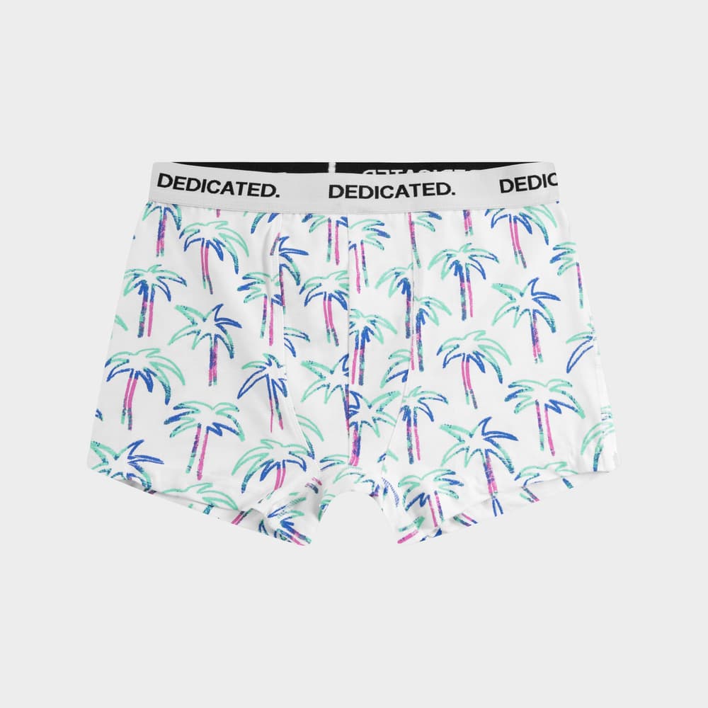 Boxer Briefs Kalix Crayon Palms White