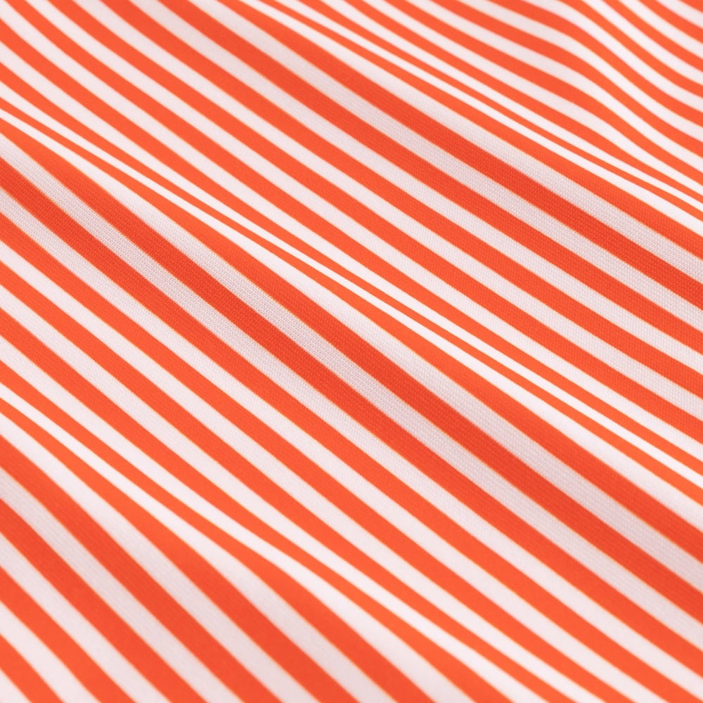 Bikini Bottoms Sanda Thin Stripe Grenadine Red