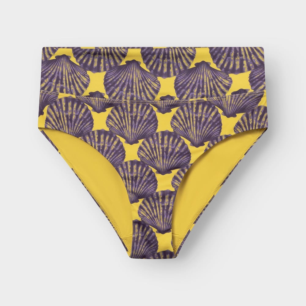 Bikini Pants Slite Seashell Multi Color