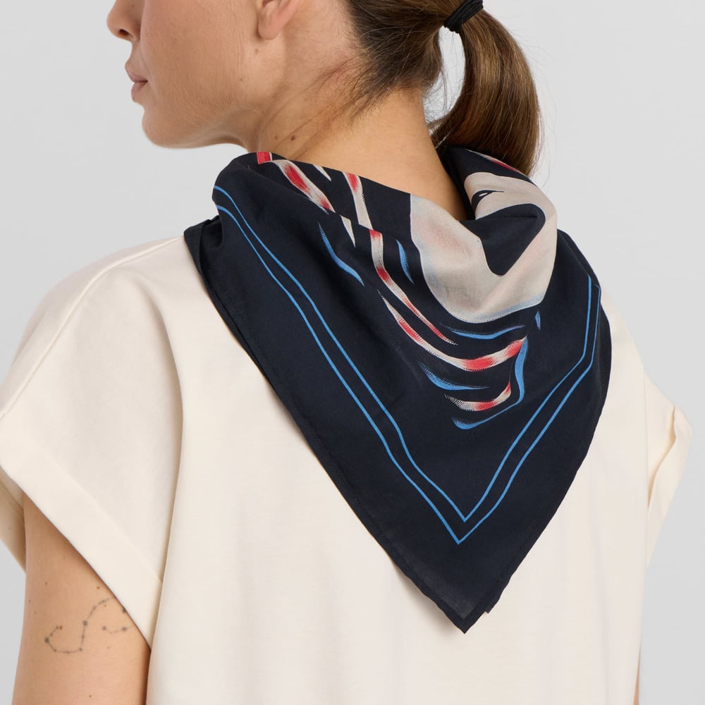 Scarf Kullavik Painted Swans Multi Color