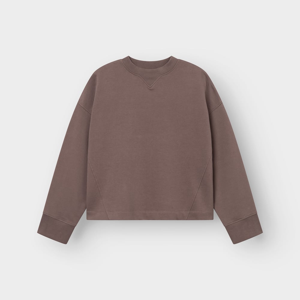 Front view of the Sweatshirt Gia in Sparrow Brown. A relaxed-fit crewneck sweatshirt shown against a plain white background.