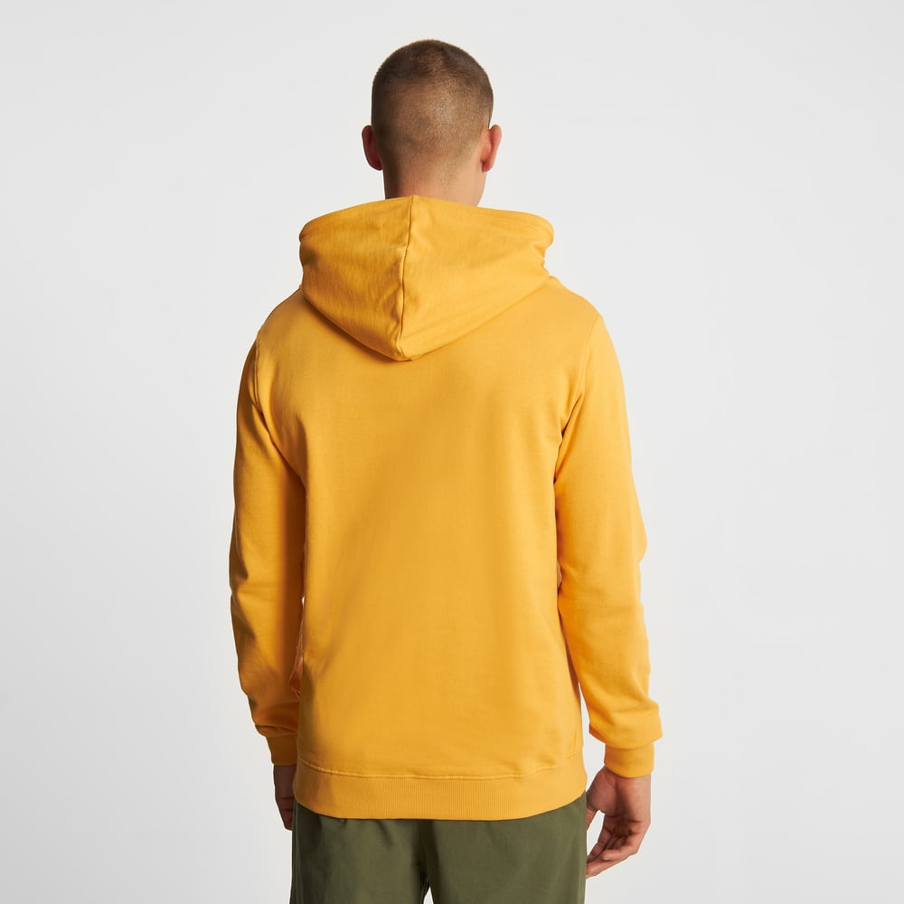 Hoodie Falun Base Honey Yellow