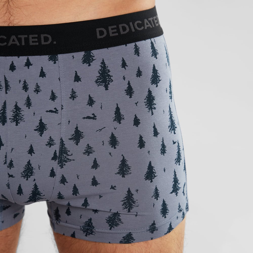 Boxer Briefs Kalix Pen Forest Stone Blue