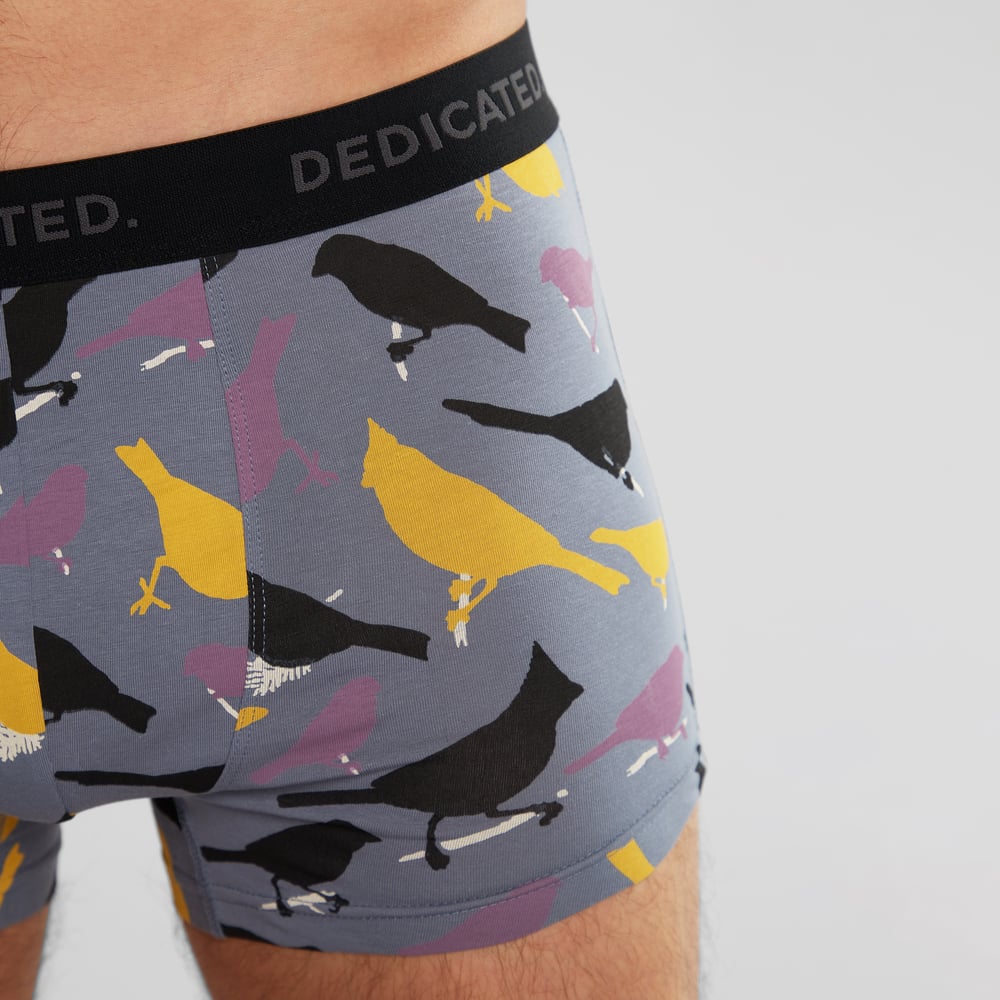 Boxer Briefs Kalix Birds Stone Blue
