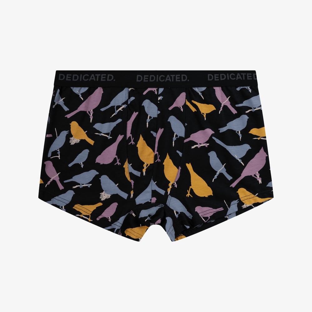 Boxer Briefs Kalix Birds Black