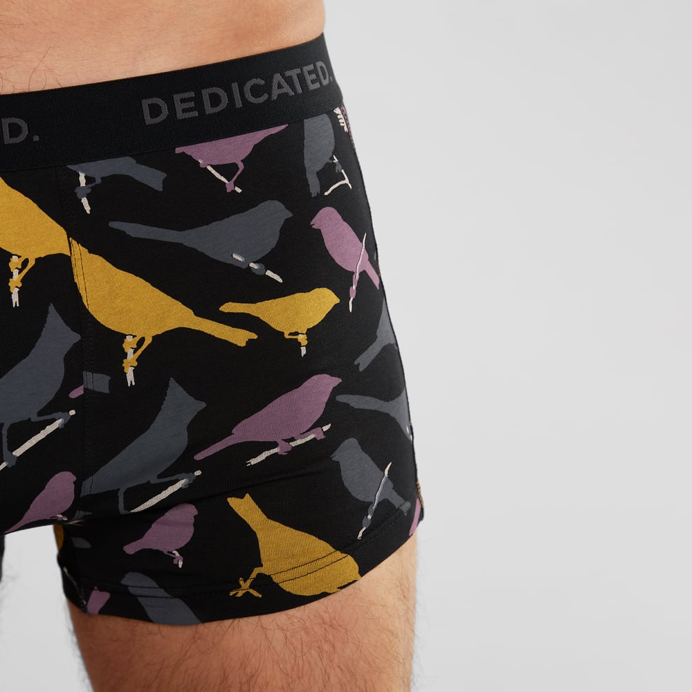 Boxer Briefs Kalix Birds Black