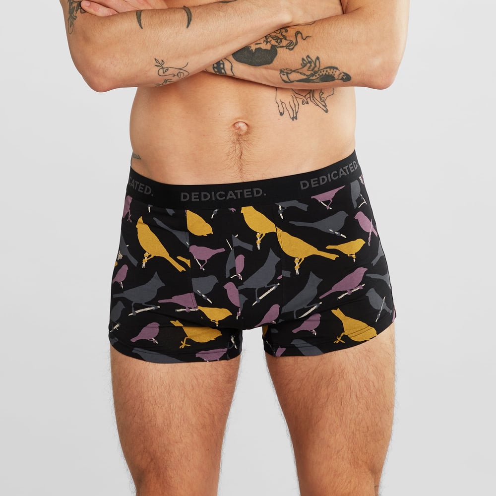 Boxer Briefs Kalix Birds Black