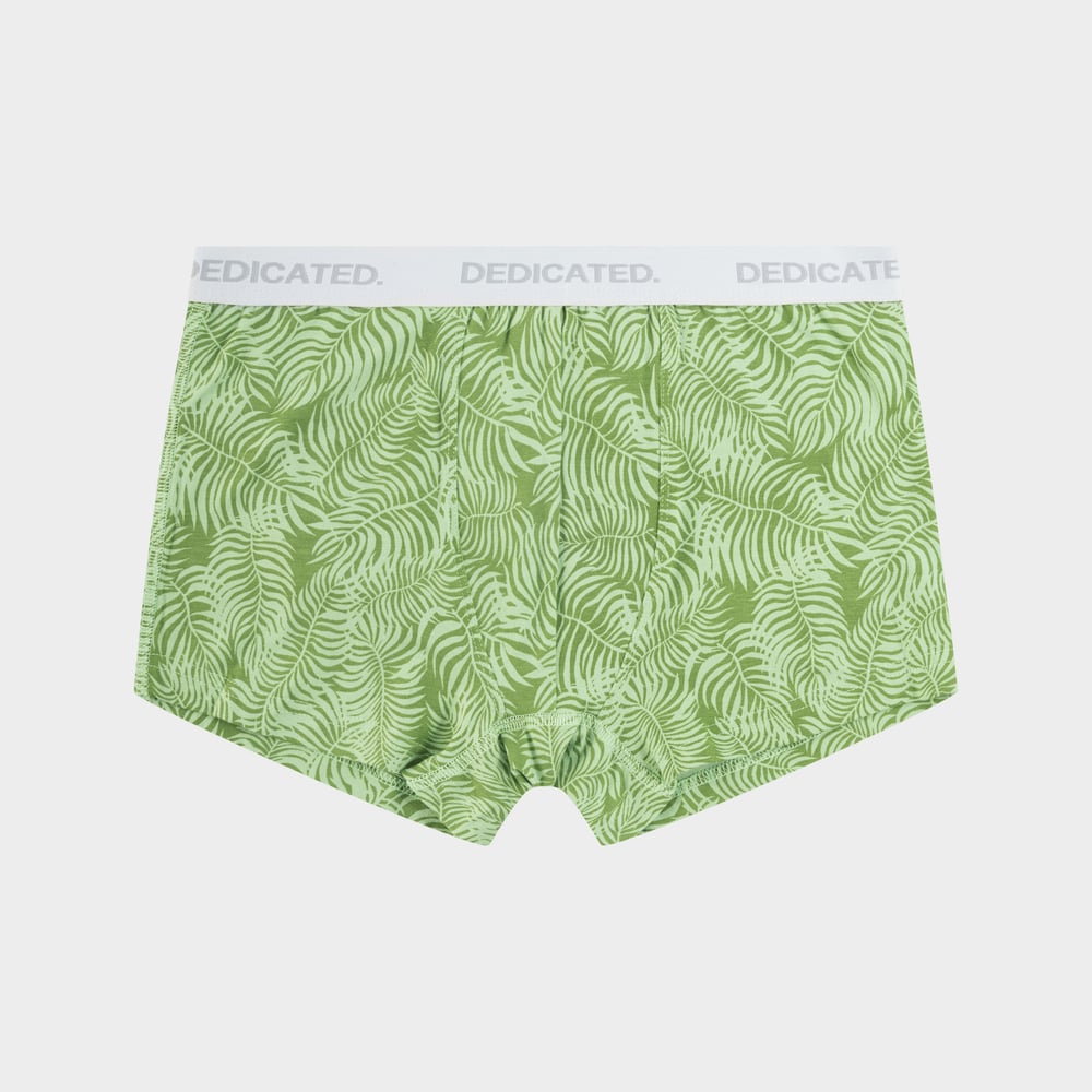 Boxer Briefs Kalix Palm Leaves Green