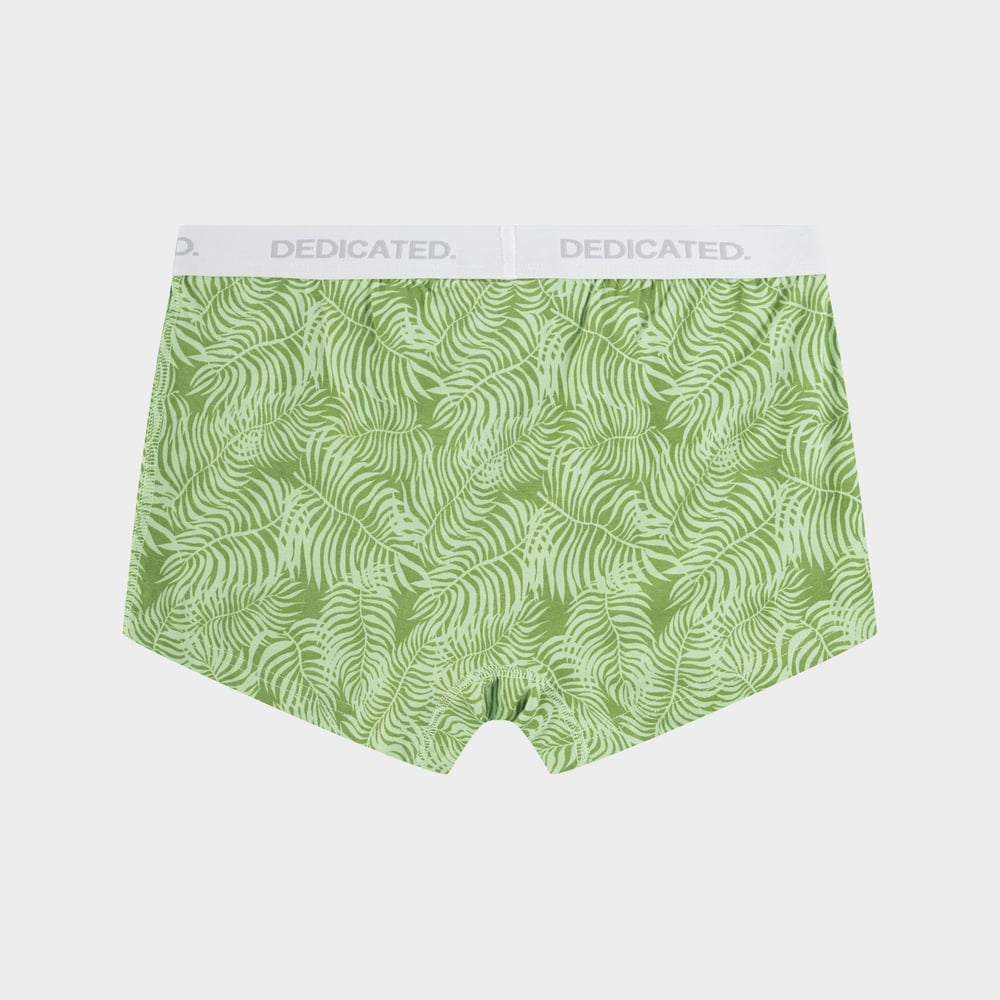 Boxer Briefs Kalix Palm Leaves Green