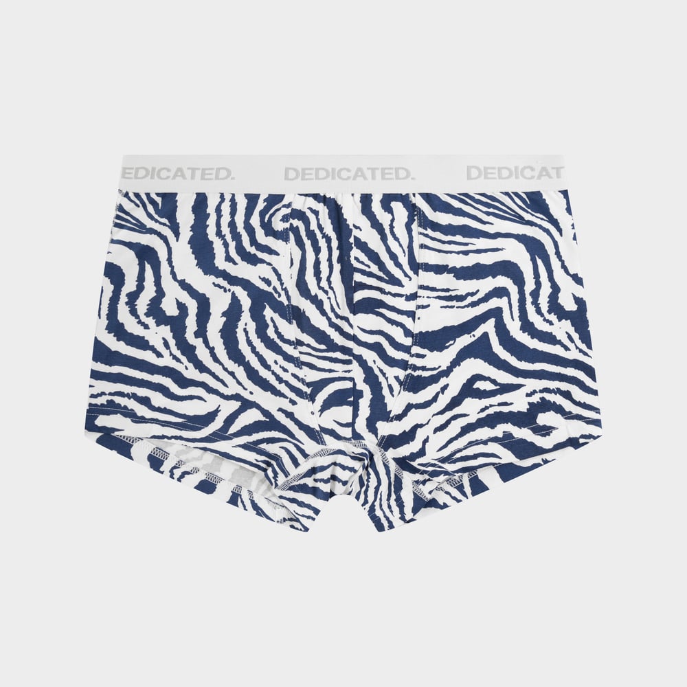 Boxer Briefs Kalix Zebra Blue
