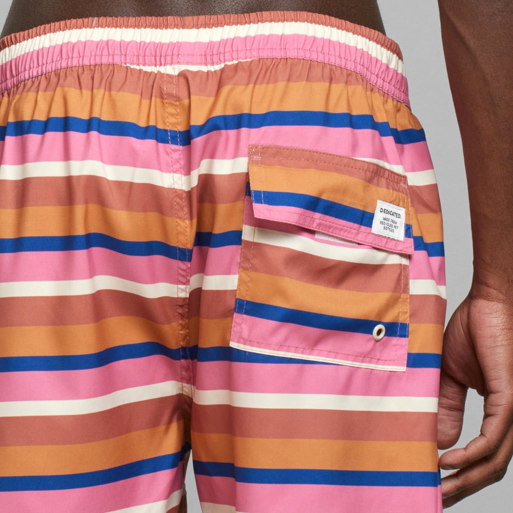 Swim Shorts Sandhamn Irregular Stripe Multi Color