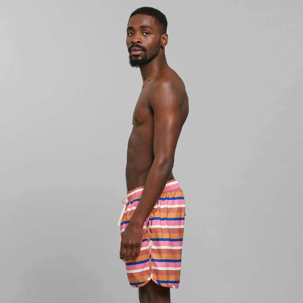 Swim Shorts Sandhamn Irregular Stripe Multi Color