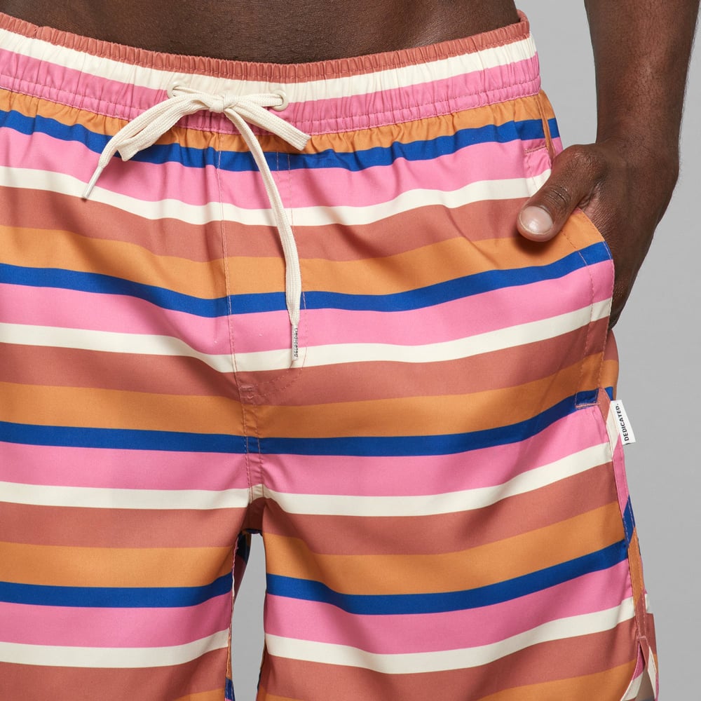 Swim Shorts Sandhamn Irregular Stripe Multi Color