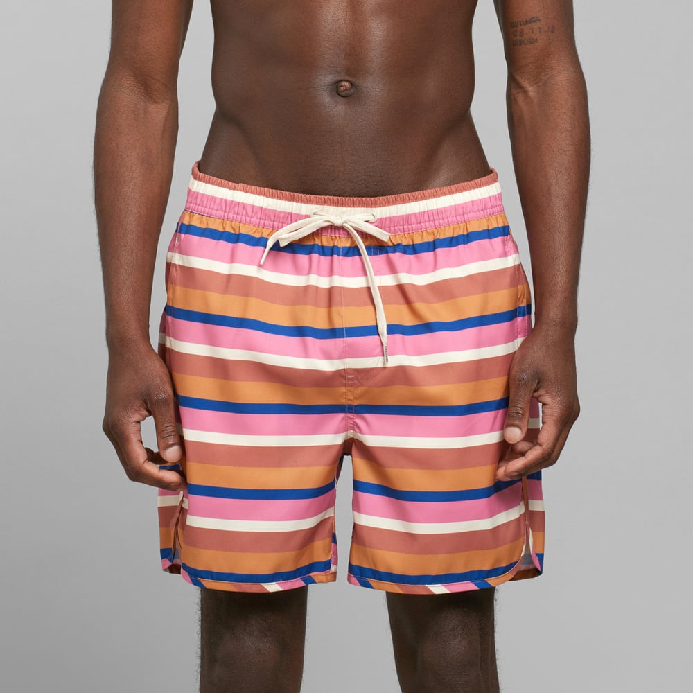 Swim Shorts Sandhamn Irregular Stripe Multi Color
