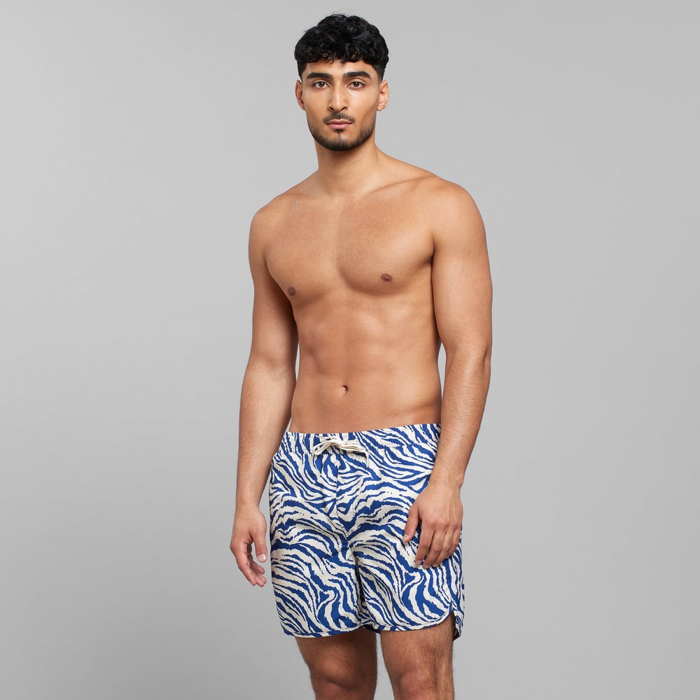 Swim Shorts Sandhamn Zebra Blue