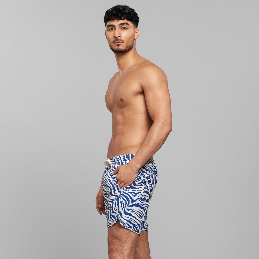 Swim Shorts Sandhamn Zebra Blue