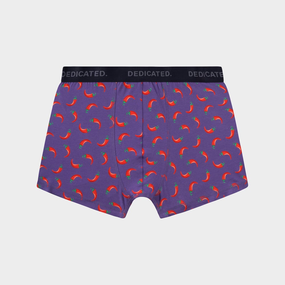Boxer Briefs Kalix Chilli Mystical Purple