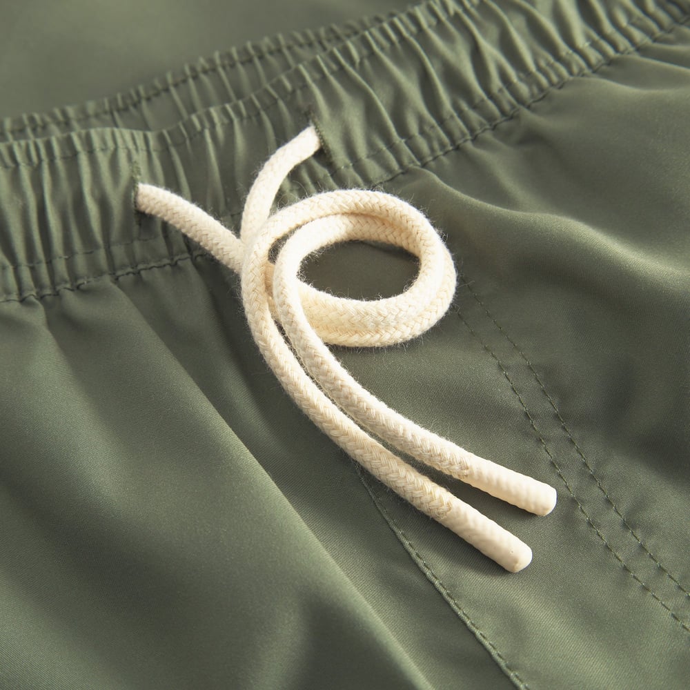 Swim Shorts Sandhamn Leaf Green