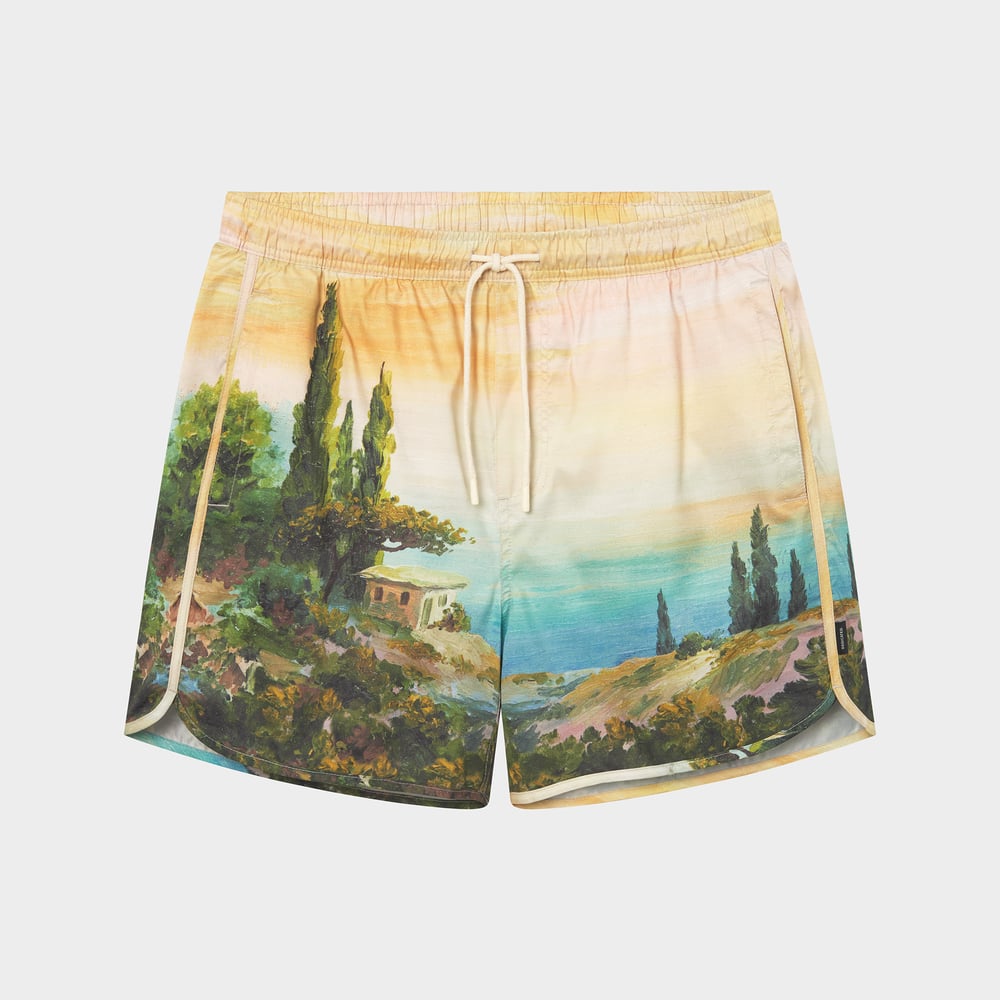 Swim Shorts Sandhamn Oceanview Multi color