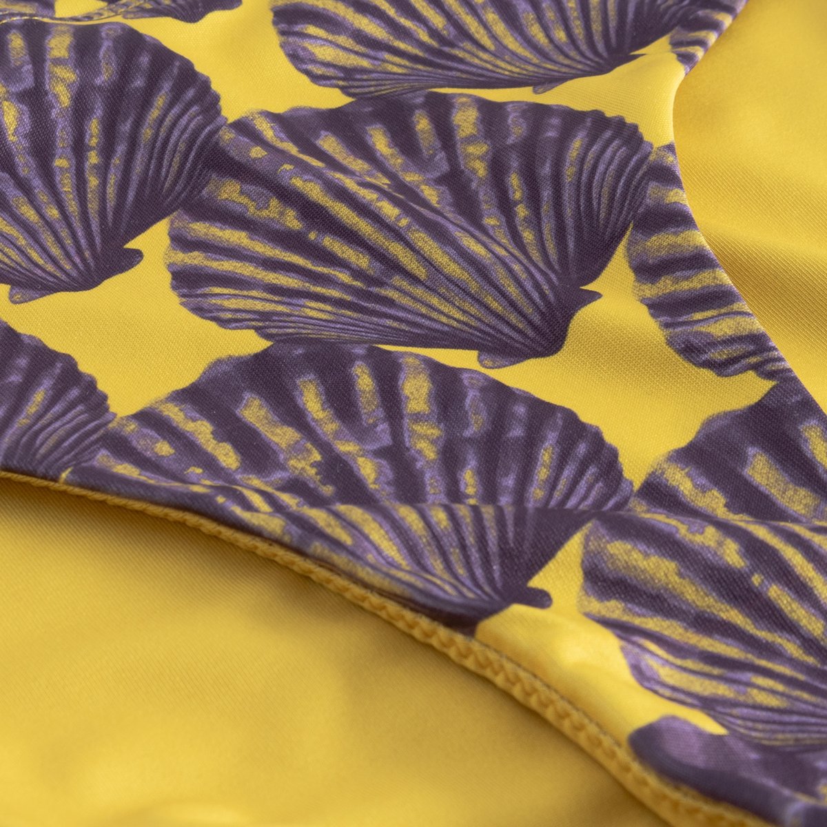 Bikini Pants Slite Seashell Multi Color