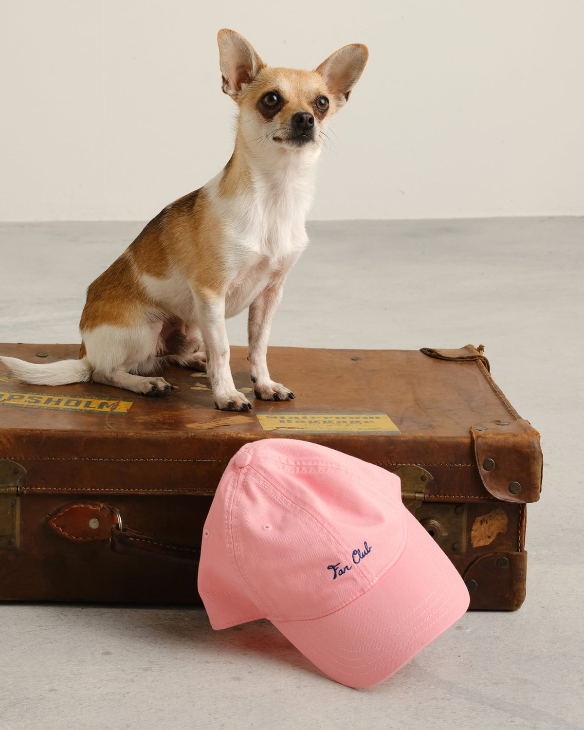 Soft Cap Slussen Fan Club Pink
