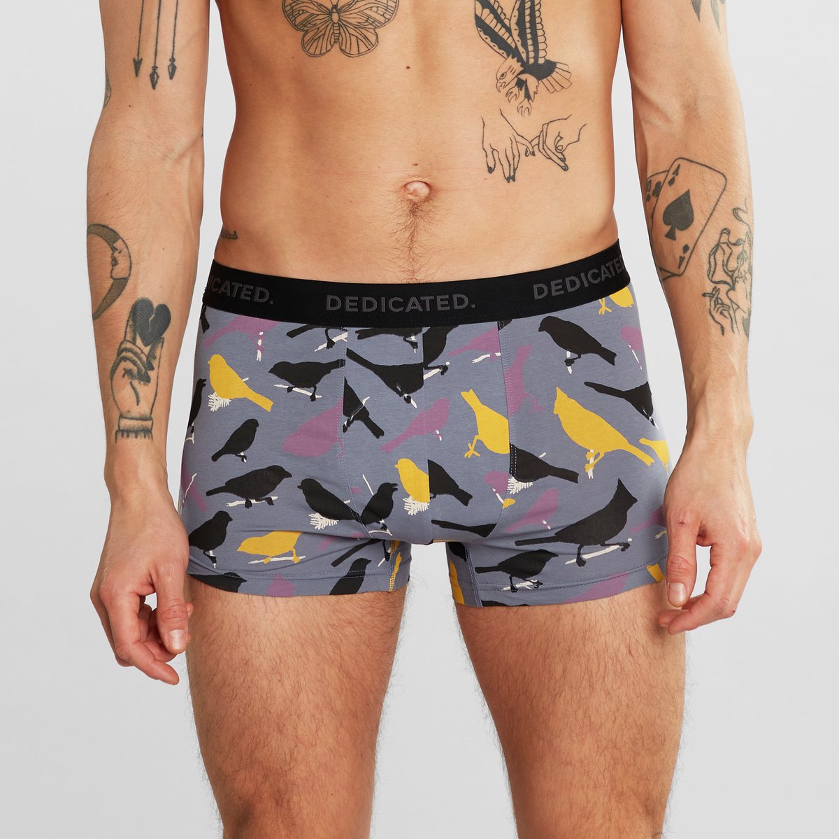Boxer Briefs Kalix Birds Stone Blue