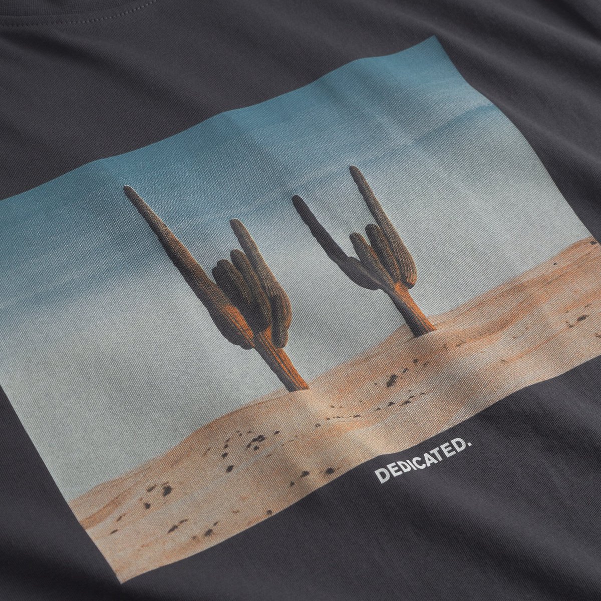 T-shirt Stockholm Cactus Sign Charcoal