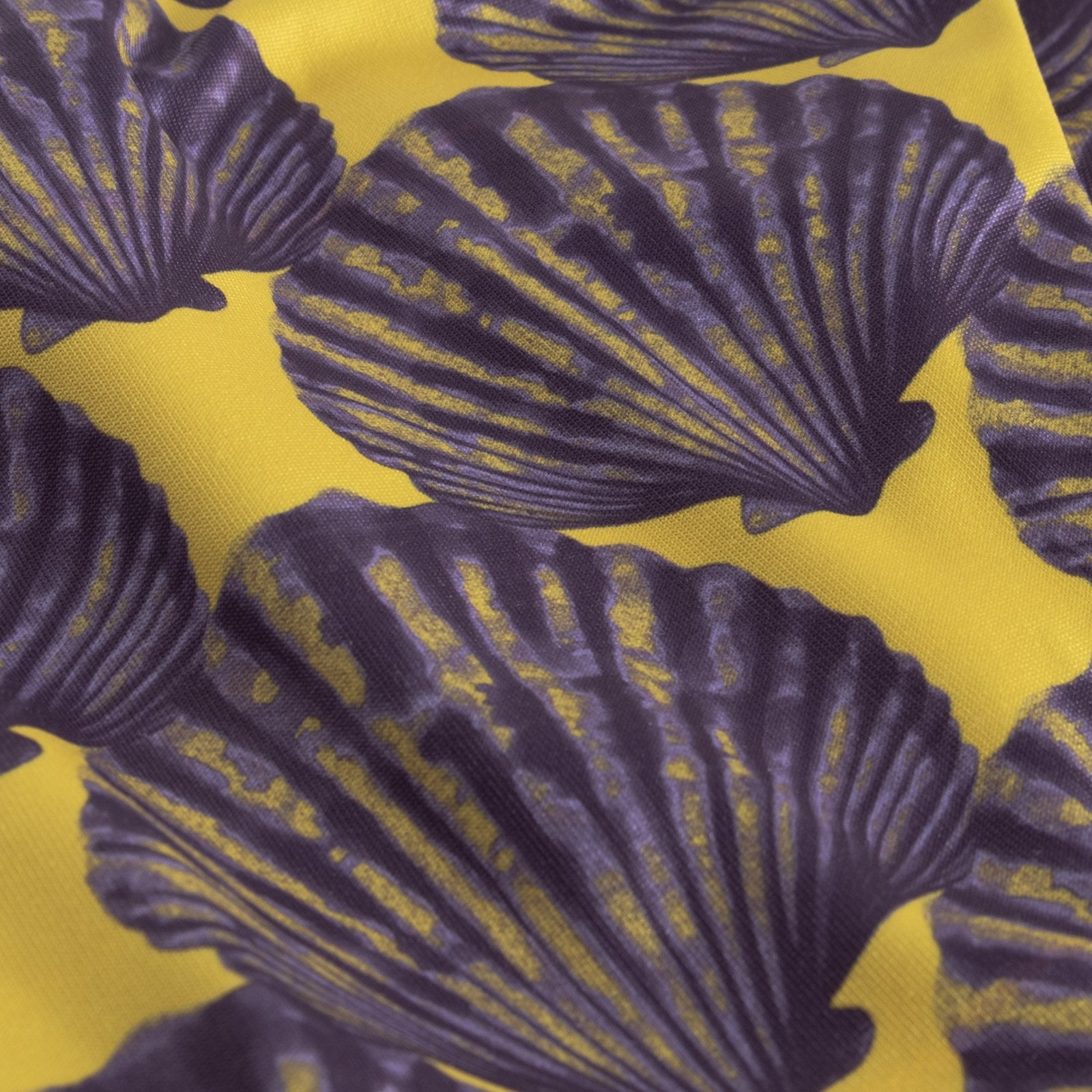 Bikini Bottom Gopa Seashell Multi Color