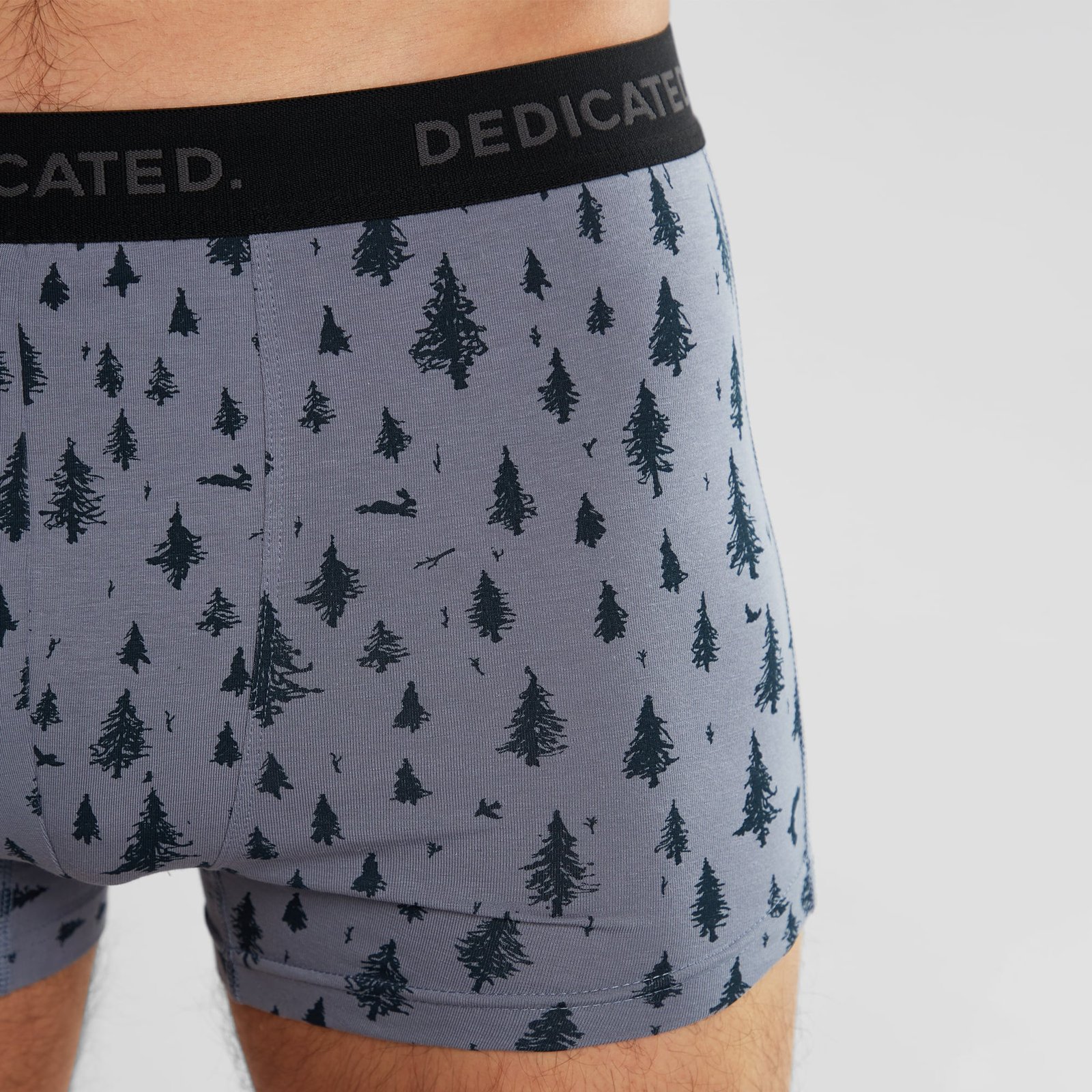 Boxer Briefs Kalix Pen Forest Stone Blue