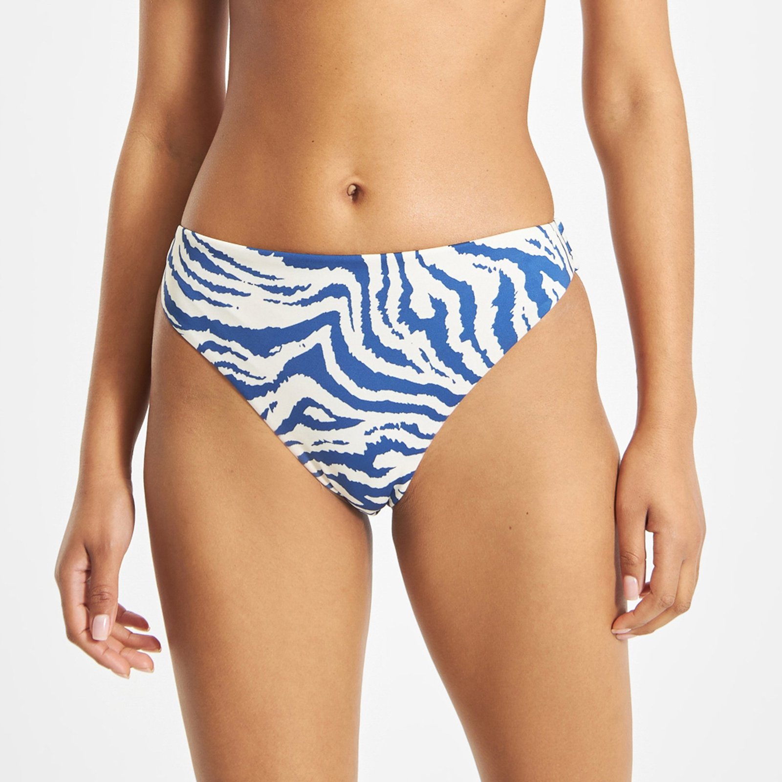 Bikini Bottoms Sanda Zebra Blue