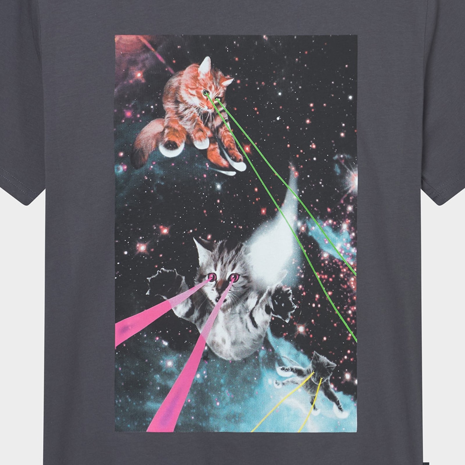 T-shirt Stockholm Lazer Cats