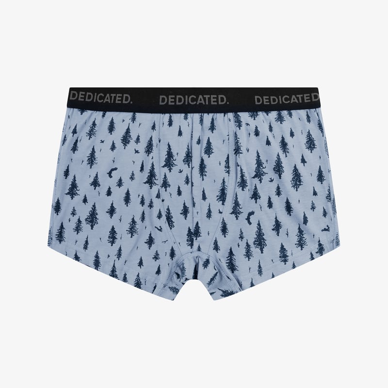 Boxer Briefs Kalix Pen Forest Stone Blue