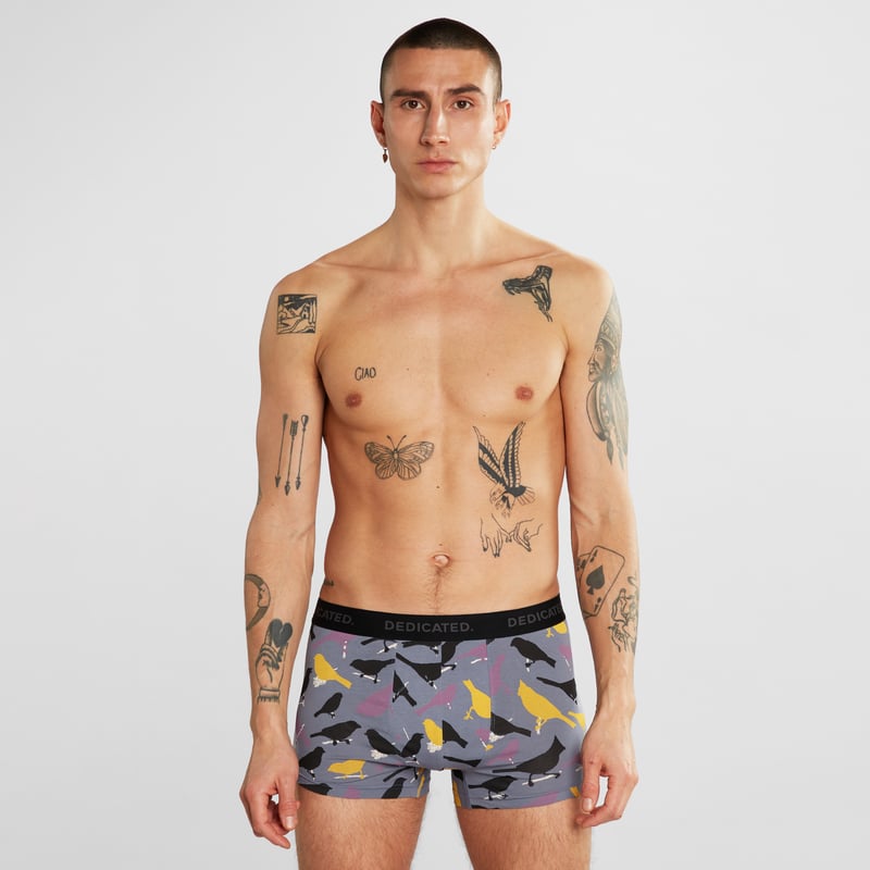Boxer Briefs Kalix Birds Stone Blue
