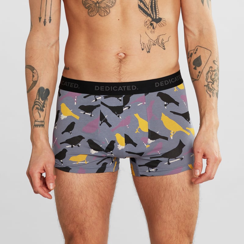 Boxer Briefs Kalix Birds Stone Blue