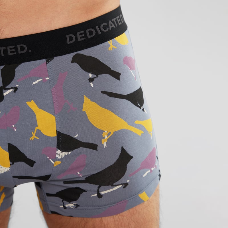 Boxer Briefs Kalix Birds Stone Blue