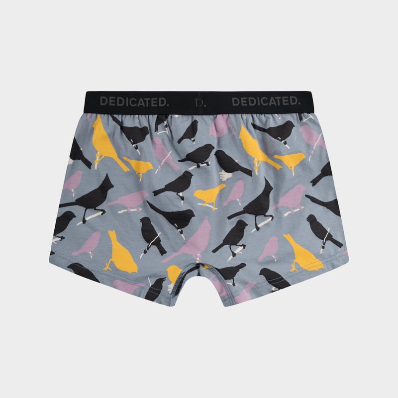 Boxer Briefs Kalix Birds Stone Blue
