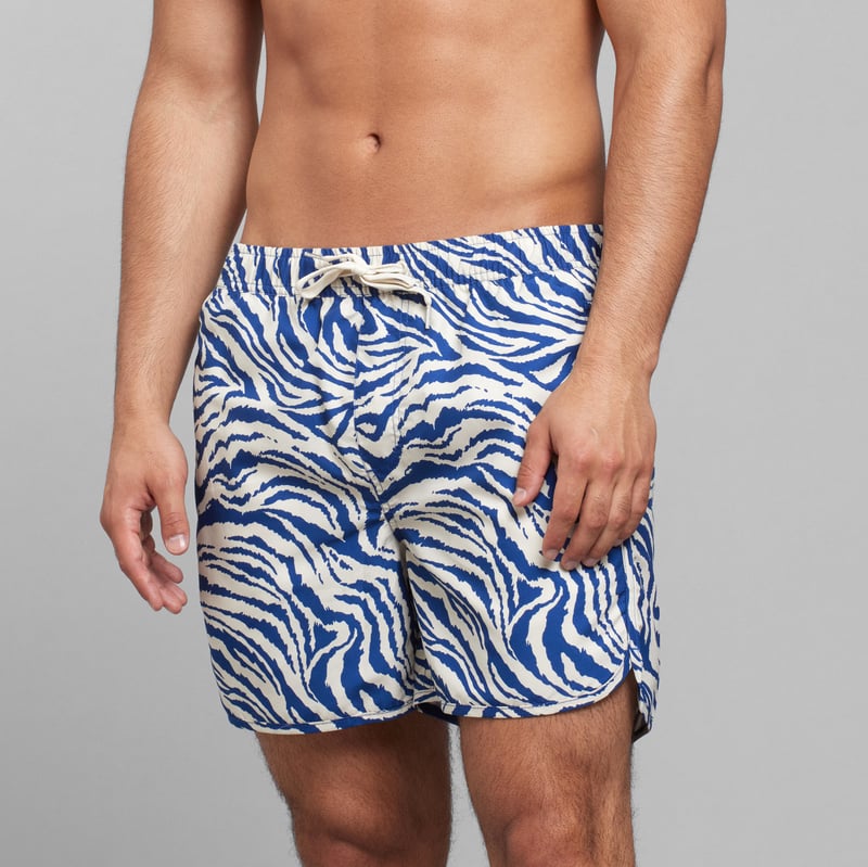 Swim Shorts Sandhamn Zebra Blue