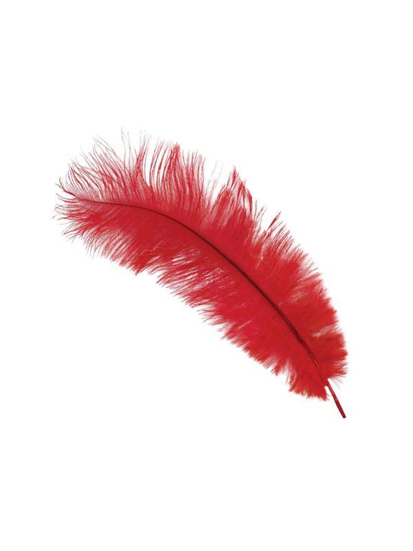 Rote Feder