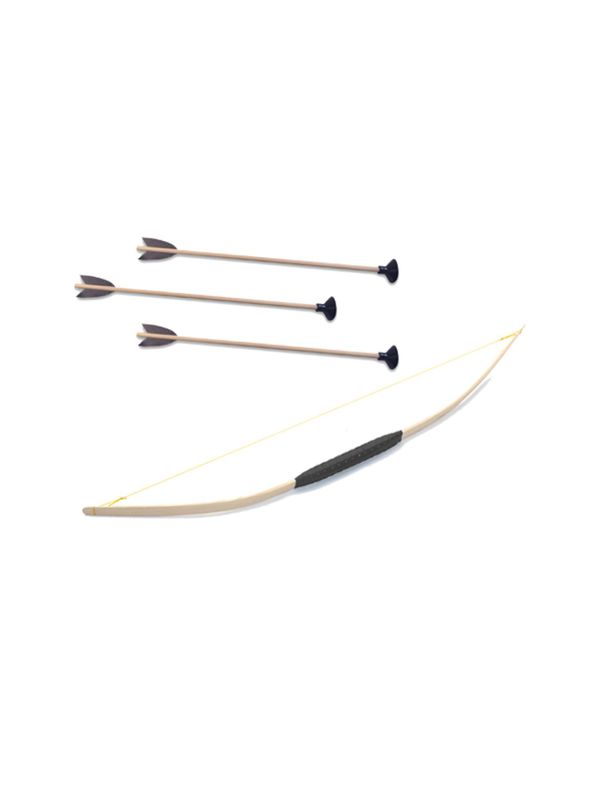 Bow and Arrows Set