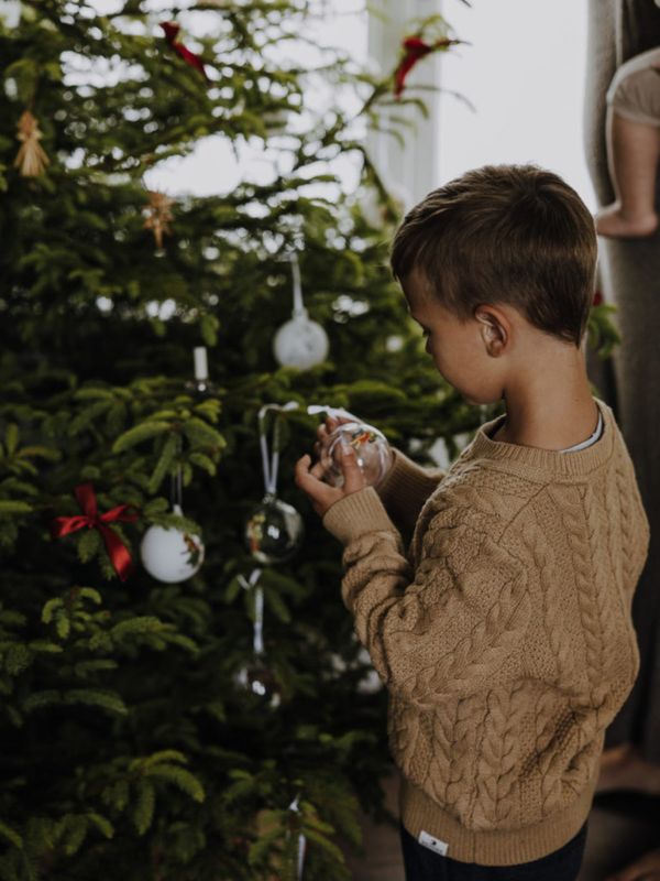 Ornament-3-pack-chapter-1
